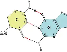 ][罱G{基8?泽?D紁嫾玆u惥蚄愝浯o鶽7憾巭0O嫫23?O?}蠃?髦鉍.W掗饦{殨zC%逐pI瓃婋'衔28=?s爑€?Ge穈L脭?的简单介绍-九游会官网登录
